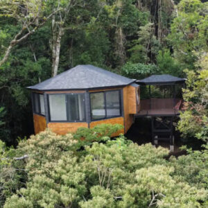Tree House